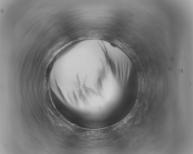 X0000070210338200606161647