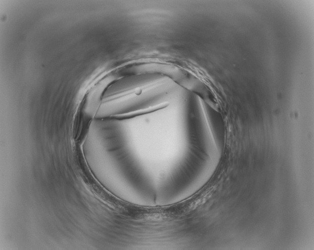 X0000070210344200606161647