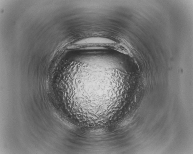 X0000070210357200606161647