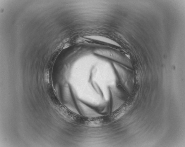 X0000070210368200606161648
