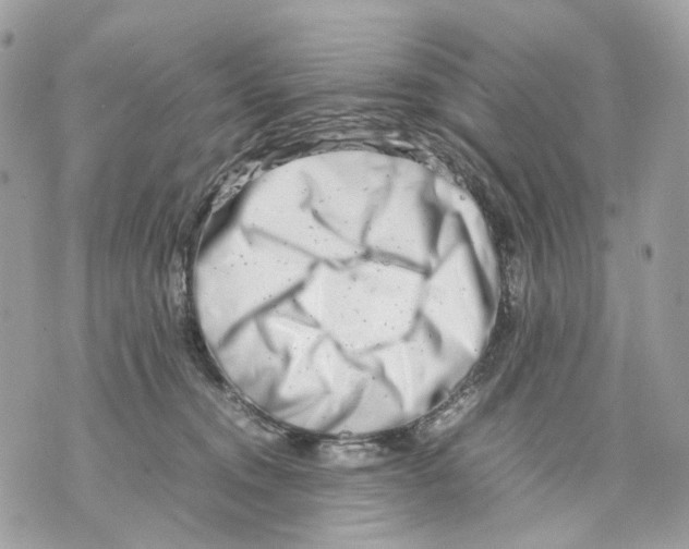 X0000070210372200606161648
