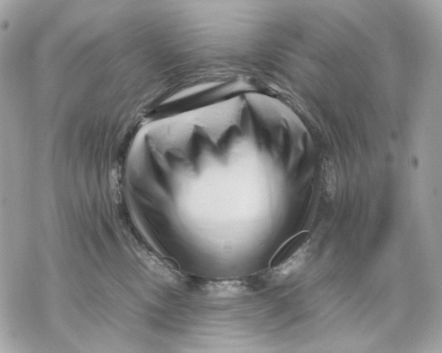 X0000070210378200606161648