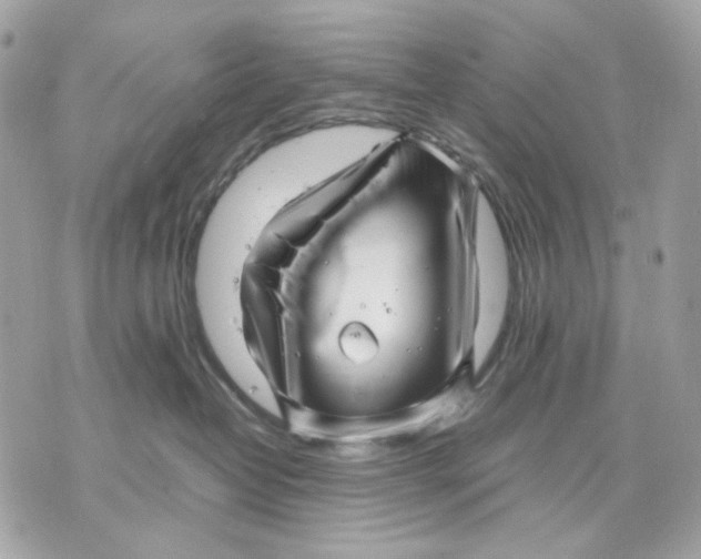 X0000070210382200606161648
