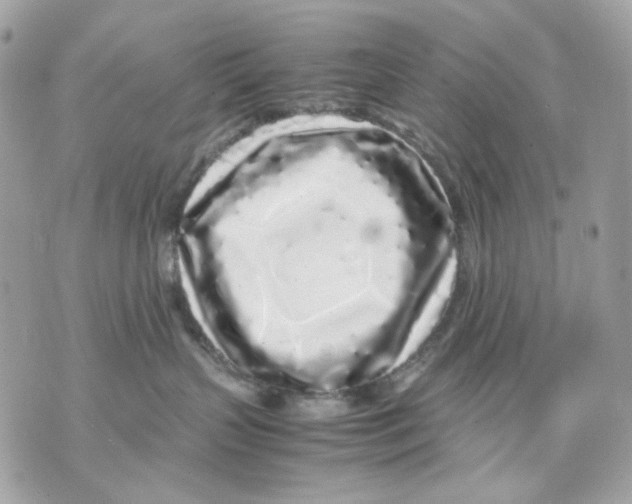 X0000070210383200606161648