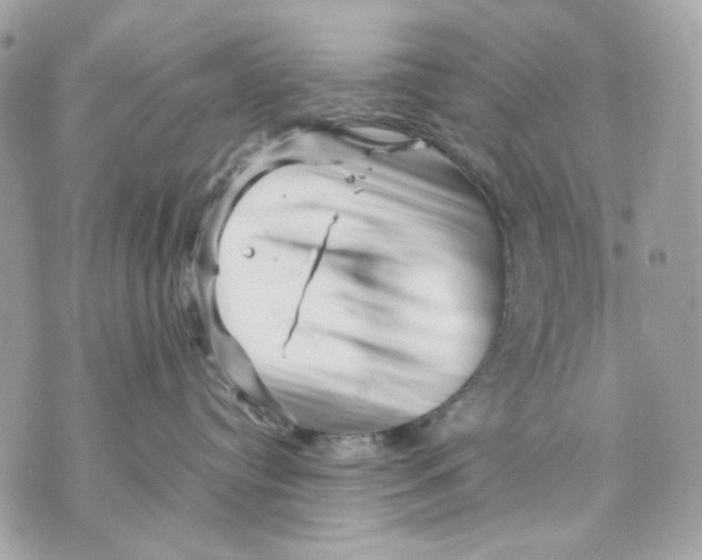 X0000070210384200606161648
