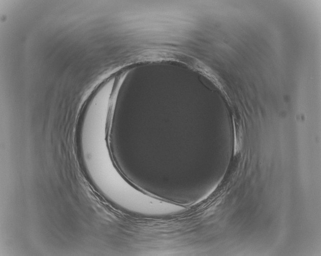 X0000070210387200606161647