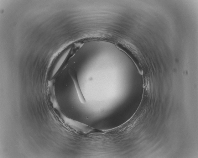 X0000070210388200606161647