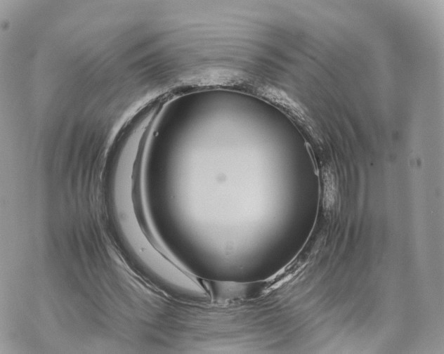 X0000070210392200606161647
