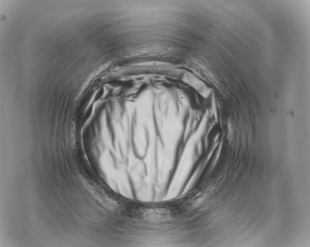 X0000070210400200606161647