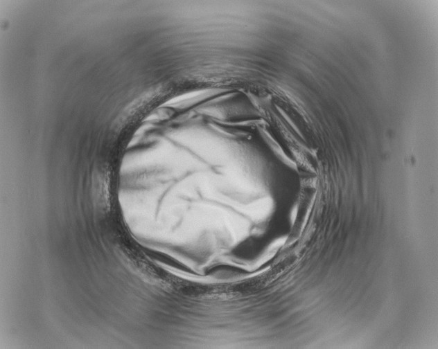 X0000070210404200606161647