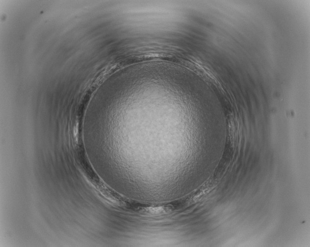 X0000070210406200606161647