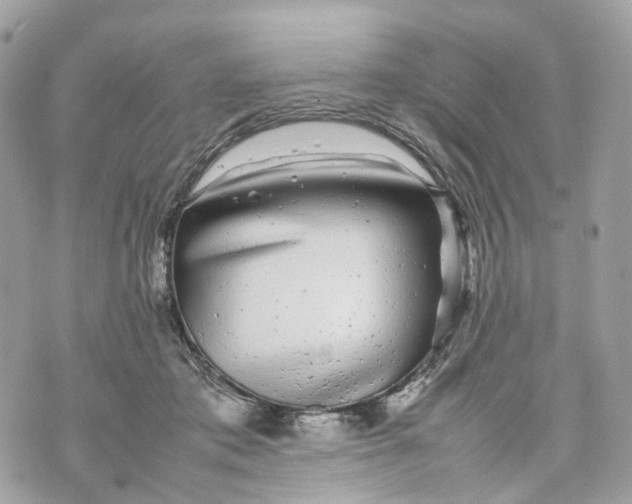 X0000070210413200606161647