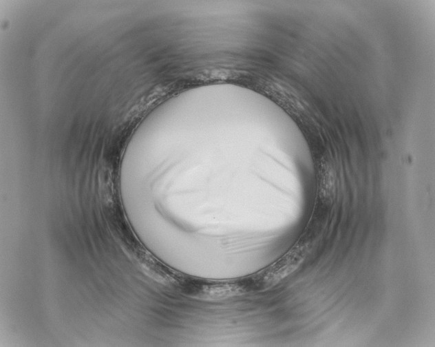 X0000070210414200606161647