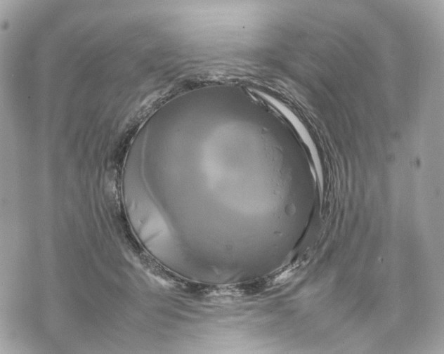 X0000070210415200606161647