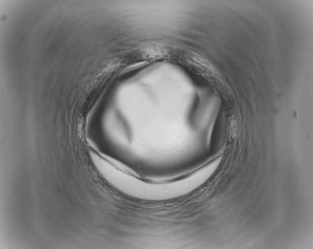 X0000070210417200606161647