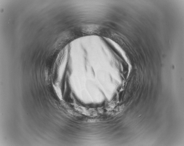 X0000070210420200606161646