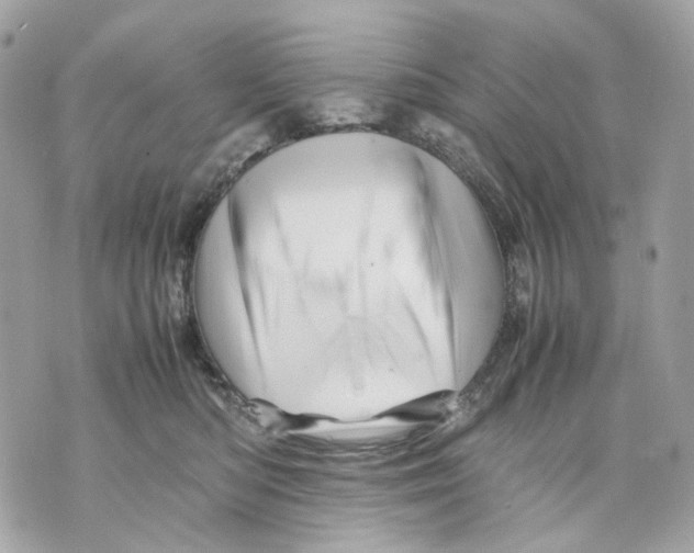 X0000070210422200606161646