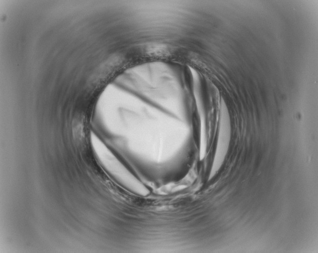 X0000070210424200606161646