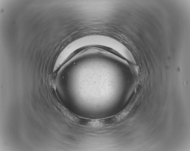 X0000070210425200606161646