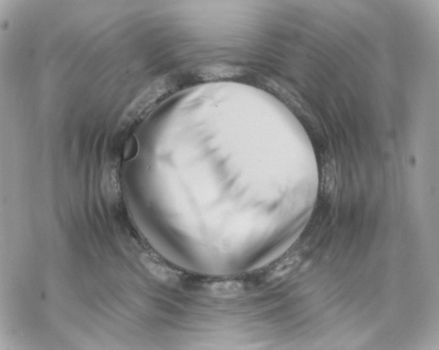 X0000070210426200606161646