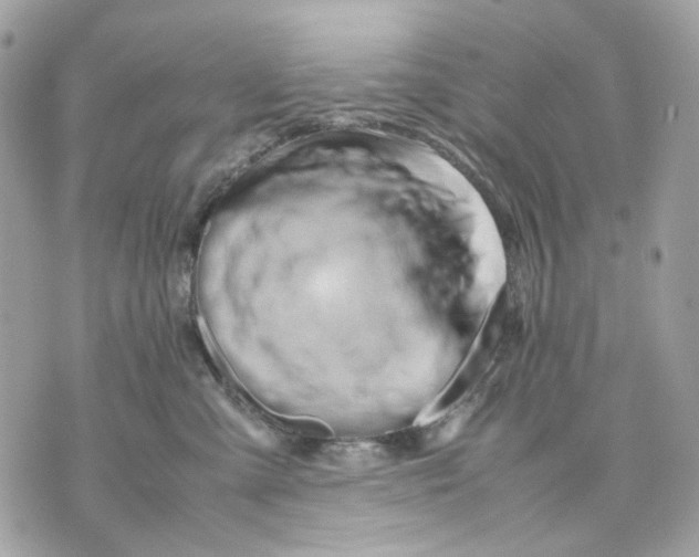 X0000070210427200606161646