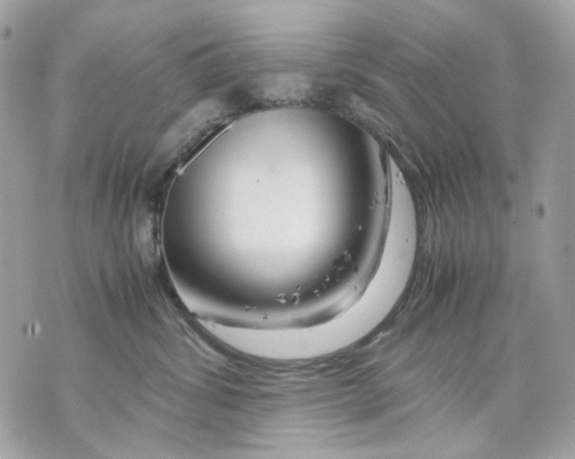 X0000070210428200606161646