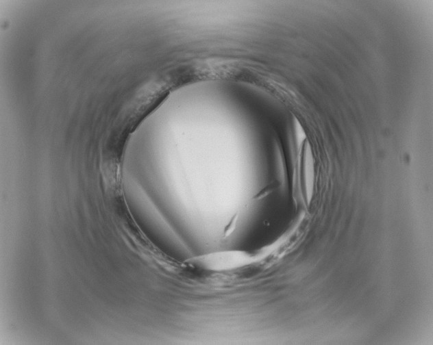 X0000070210429200606161646