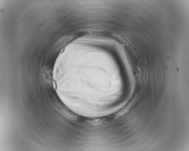 X0000070210430200606161646