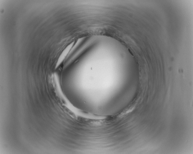 X0000070210432200606161646