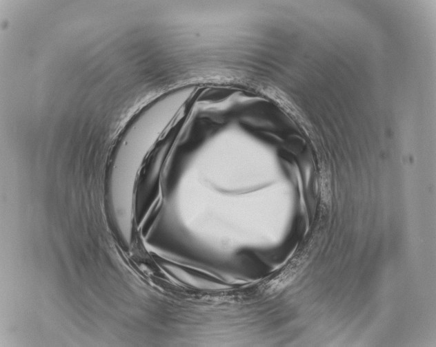 X0000070210434200606161645
