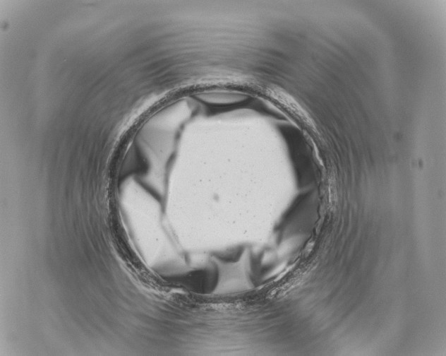X0000070210436200606161645