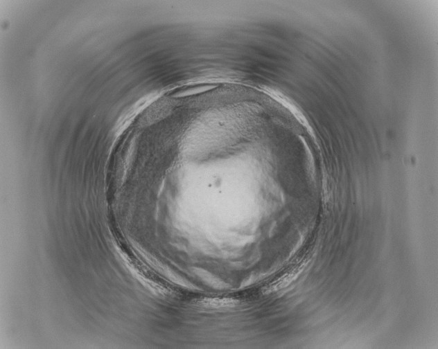 X0000070210437200606161645