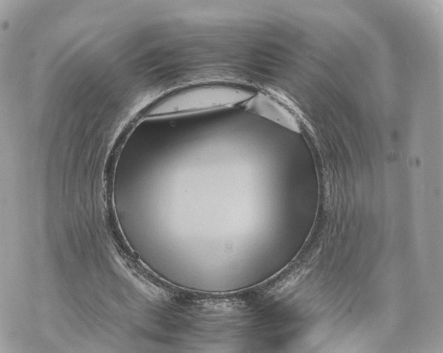 X0000070210439200606161645