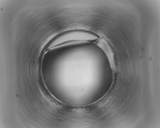 X0000070210440200606161645