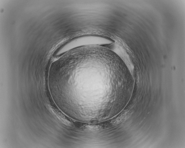 X0000070210442200606161646