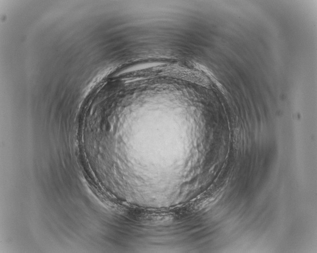 X0000070210443200606161646