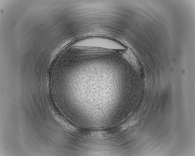 X0000070210446200606161646