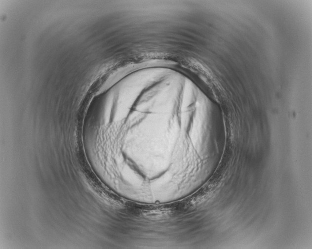 X0000070210447200606161646