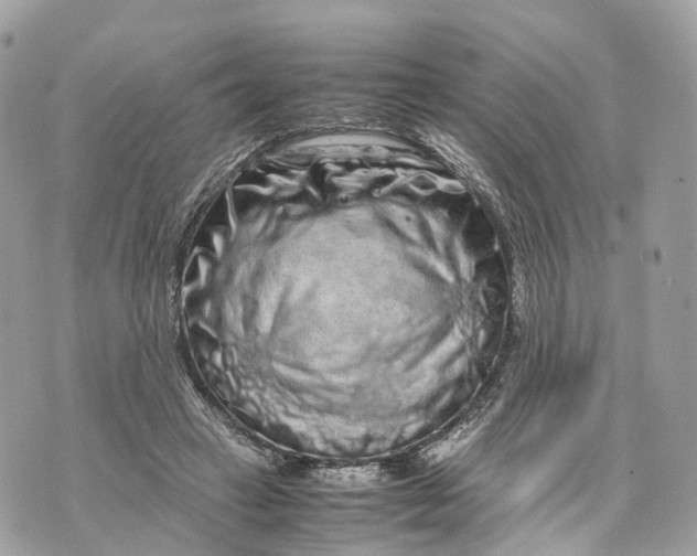 X0000070210449200606161646