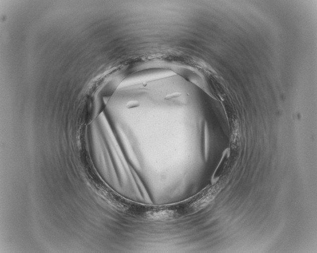 X0000070210452200606161646