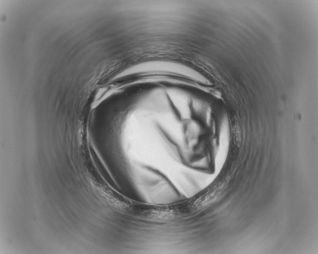 X0000070210458200606161646
