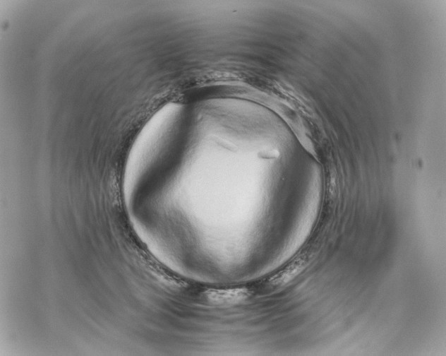 X0000070210465200606161646
