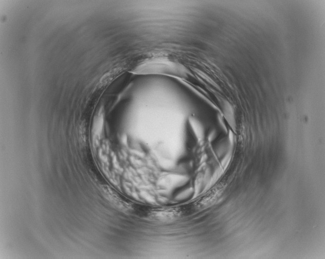 X0000070210466200606161646