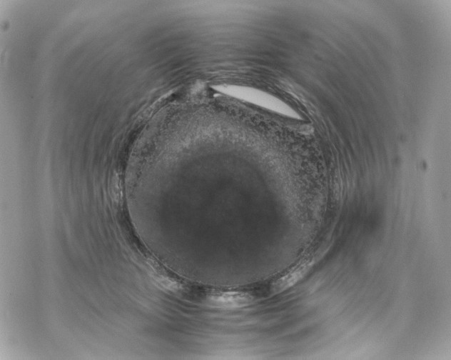 X0000070210467200606161646