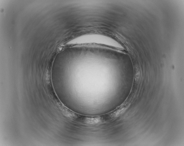 X0000070210469200606161646