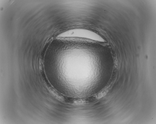 X0000070210470200606161646