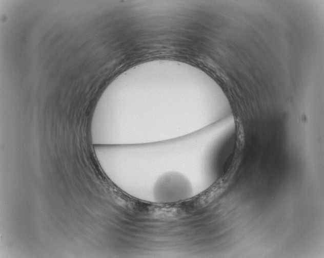 X0000070210471200606161646