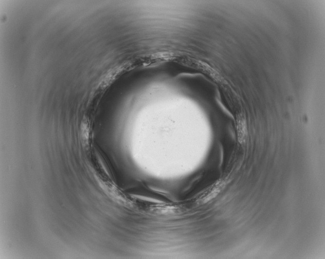 X0000070210472200606161646