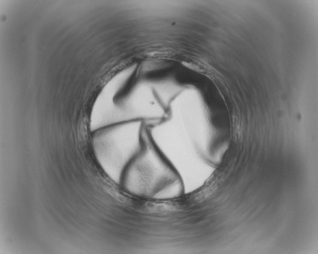 X0000070210475200606161646