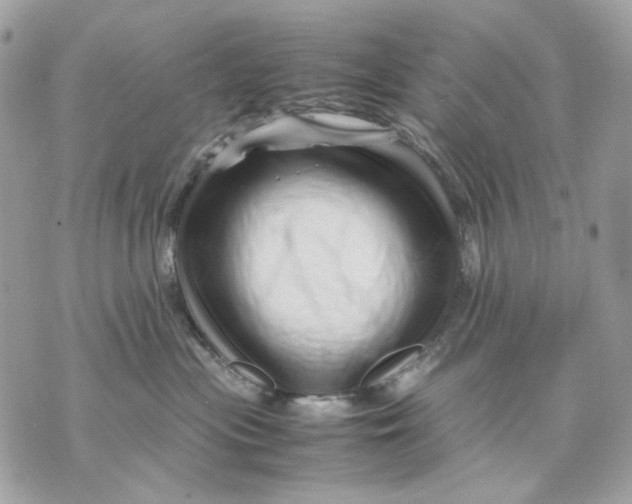 X0000070210477200606161646